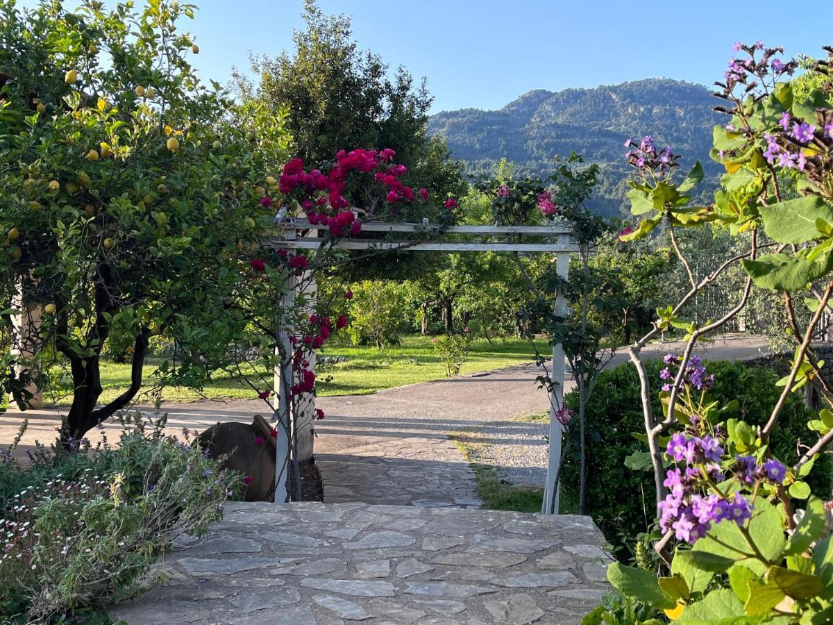 Cas Puput Mallorca Sóller Exterior foto